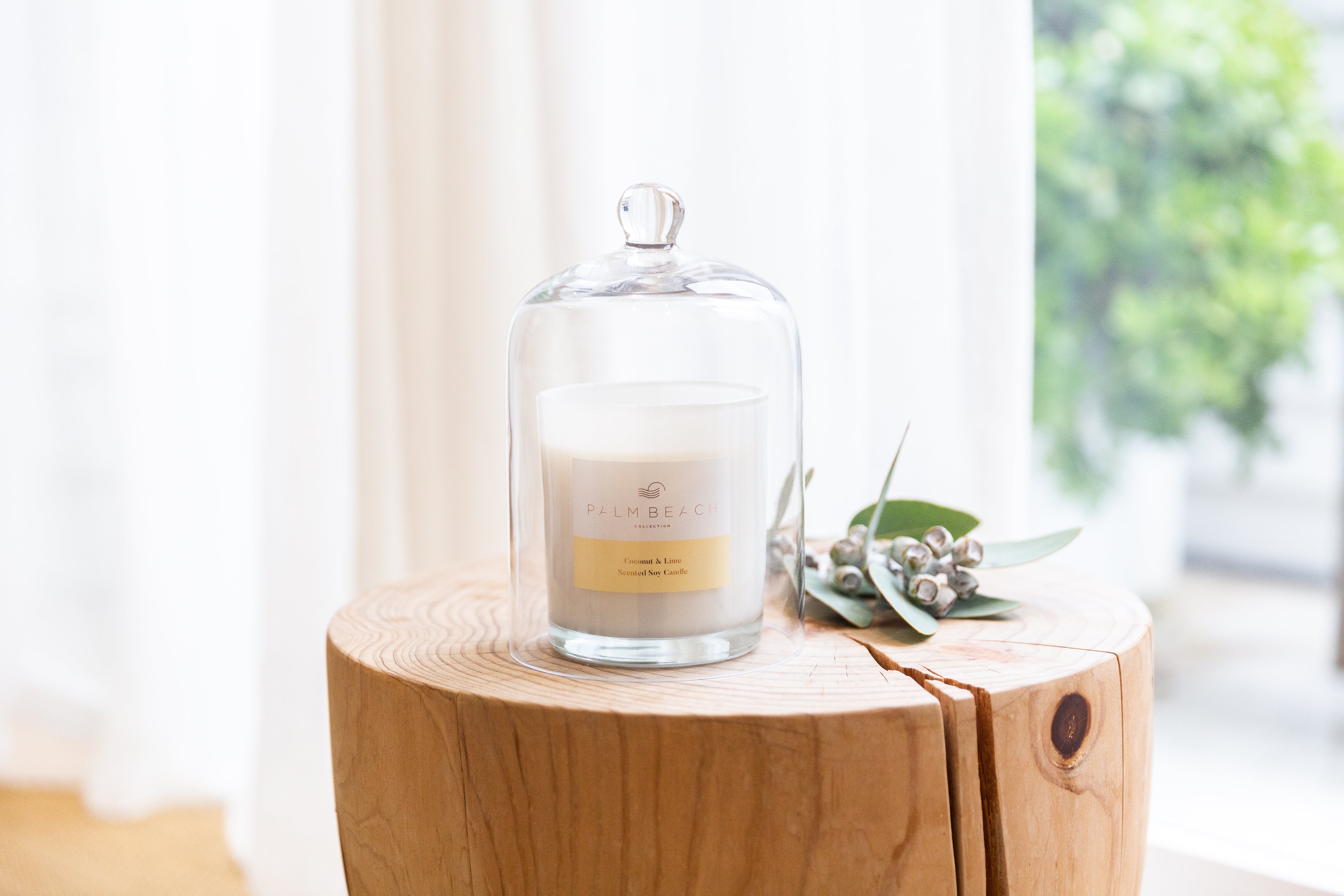 420g Standard Candle- Coconut & Lime