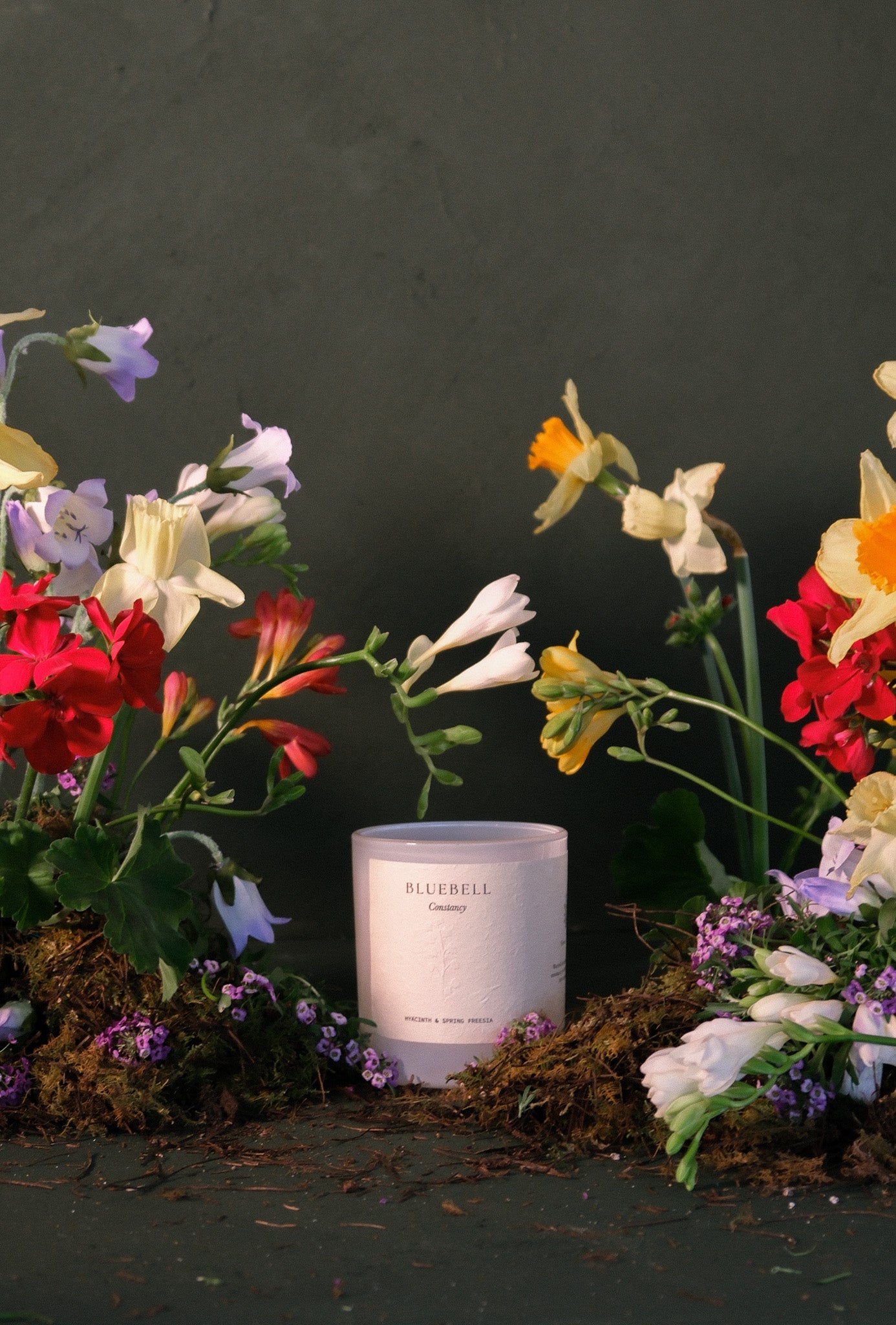 Bluebell | Hyacinth & Spring Freesia