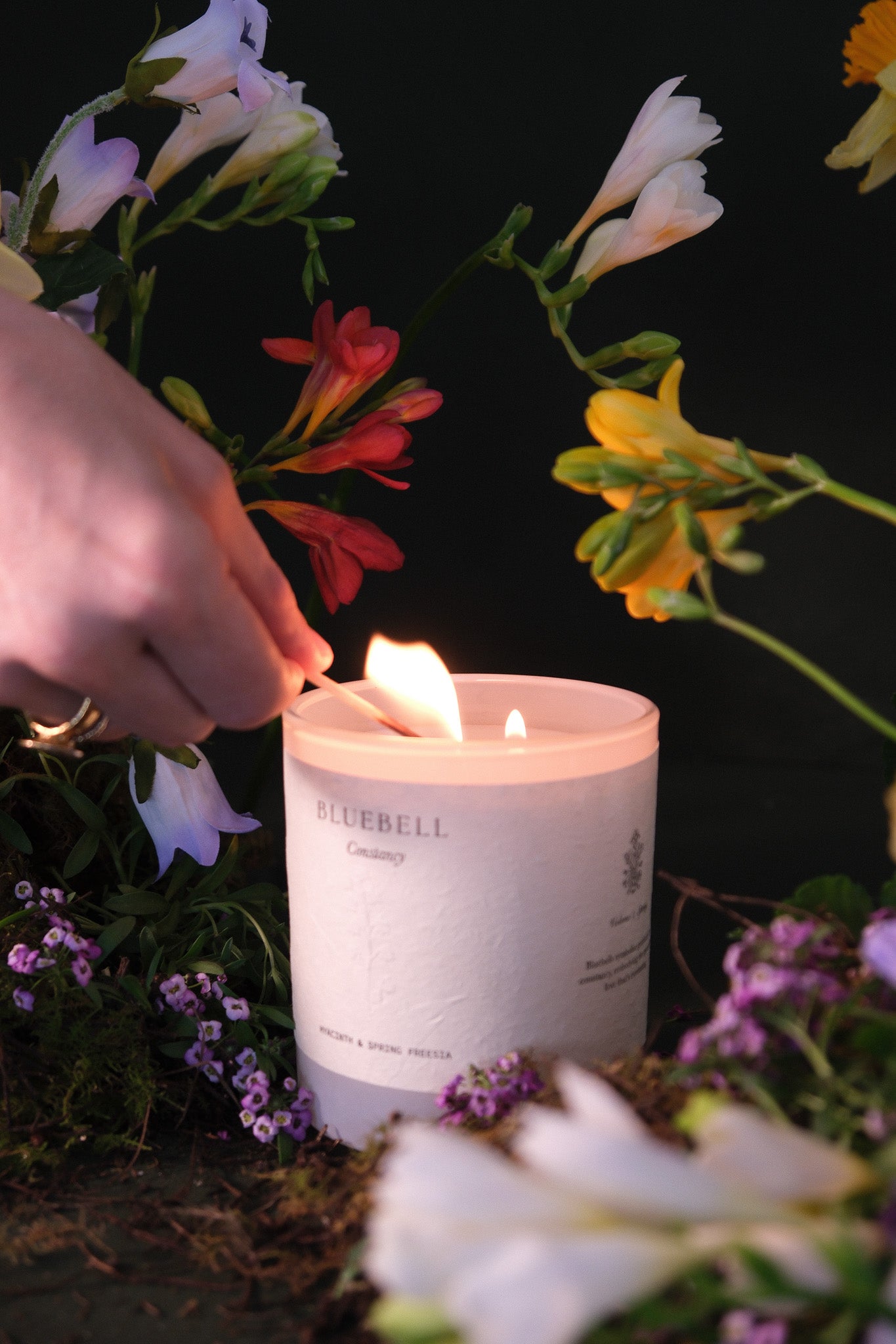 Bluebell | Hyacinth & Spring Freesia