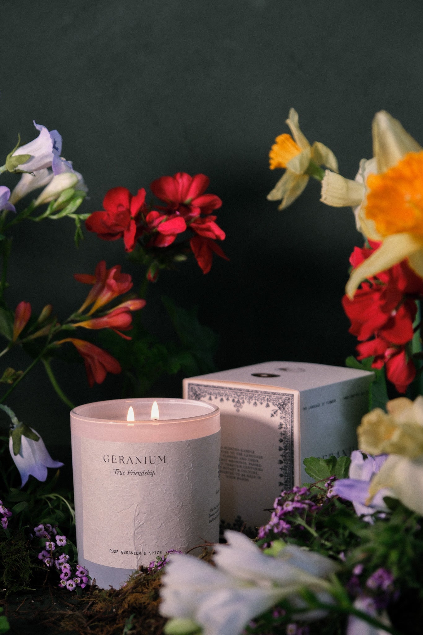 Geranium | Rose Geranium & Spice
