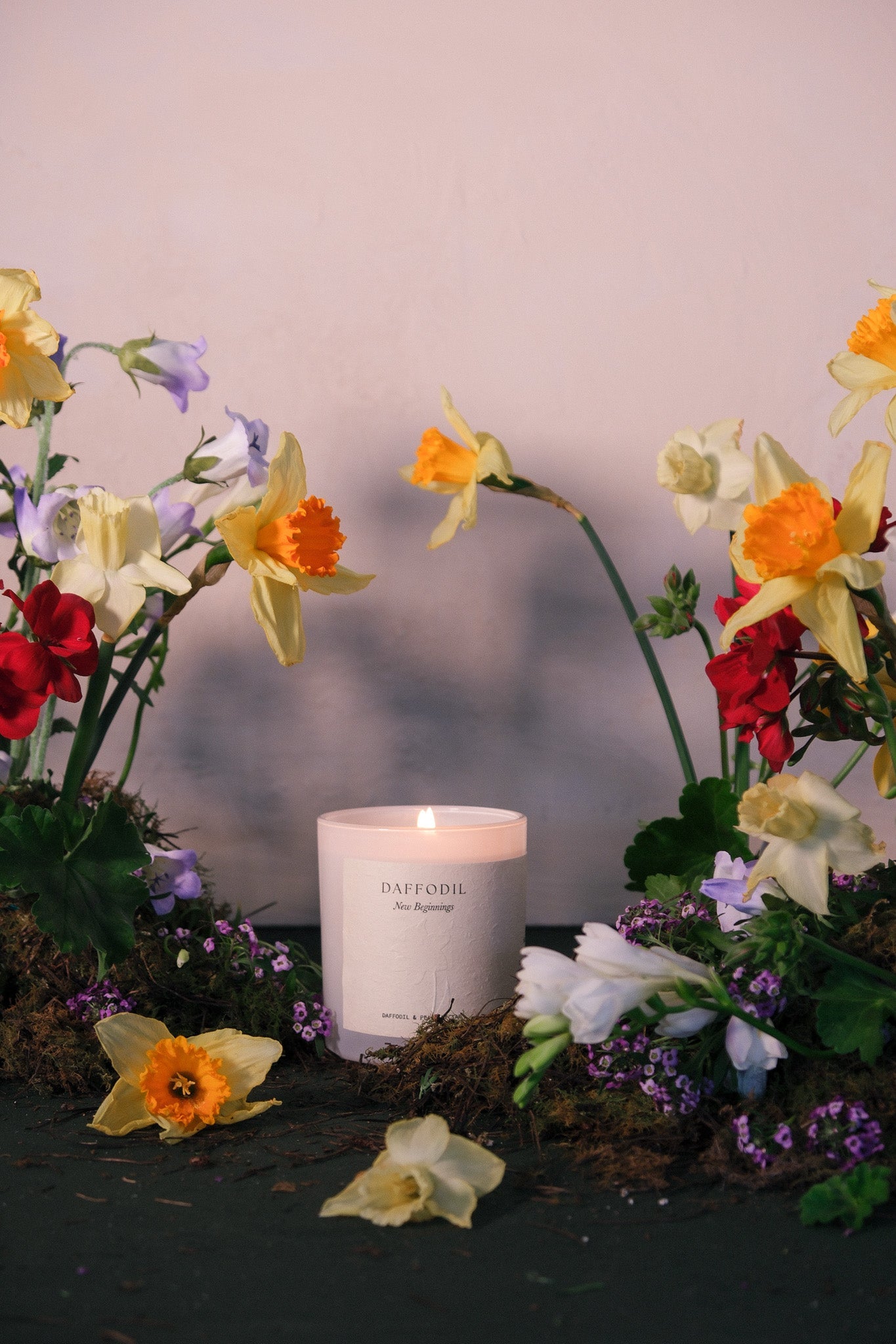 Daffodil | Daffodil & Peach Nectar