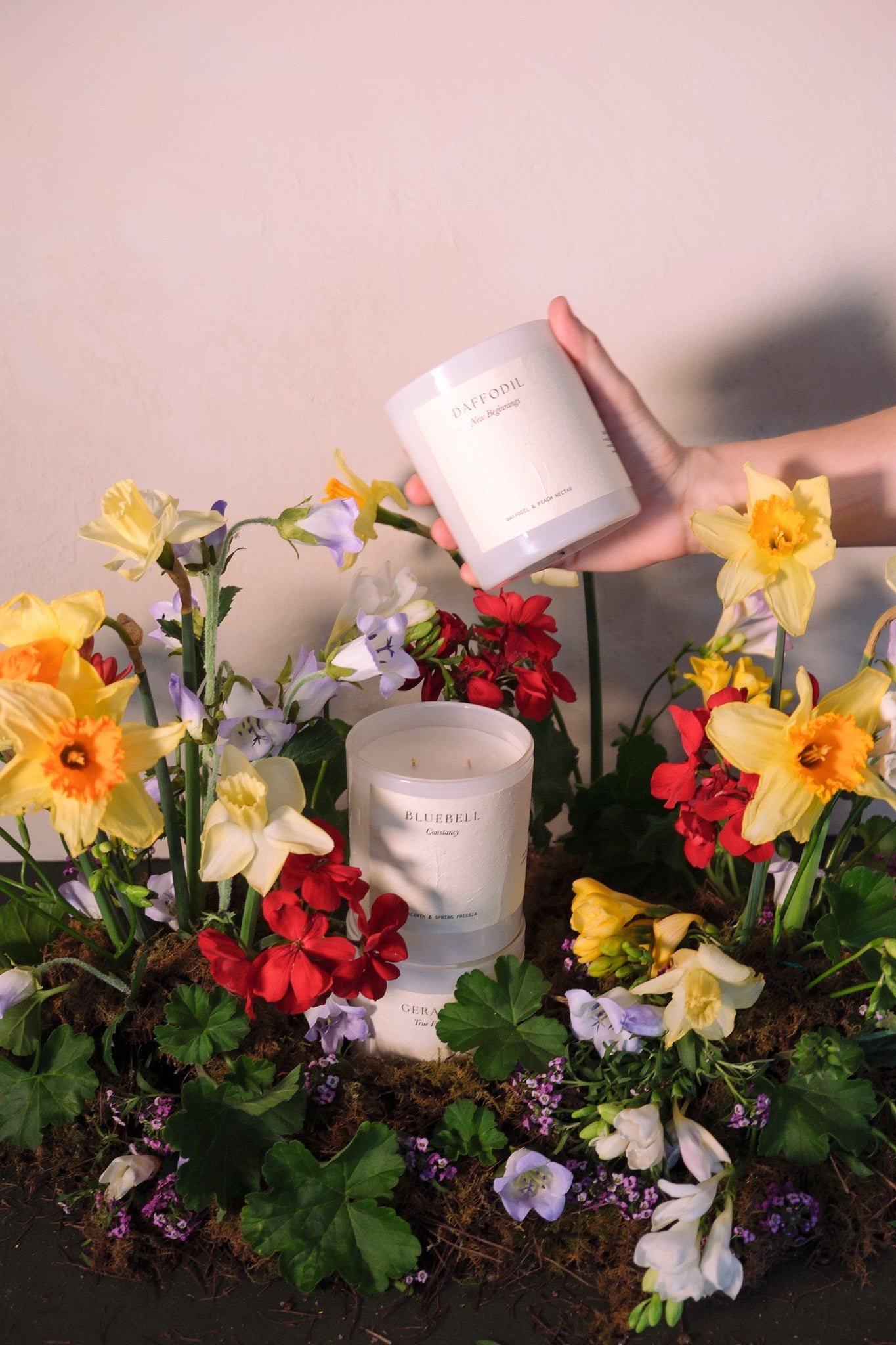 Geranium | Rose Geranium & Spice