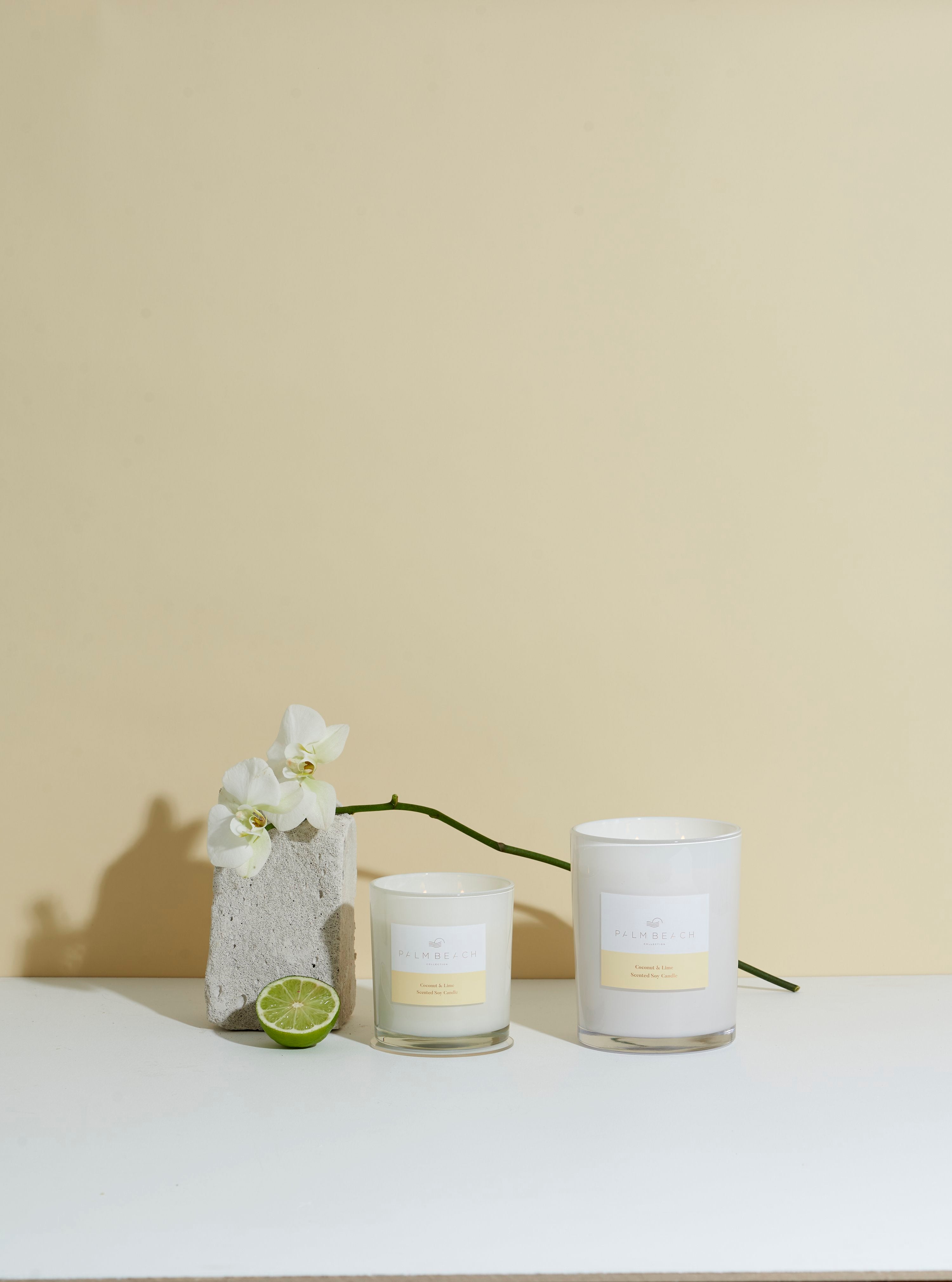 420g Standard Candle- Coconut & Lime