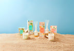 Palm Beach Collection Standard Candle 420g Bronzed Coconut