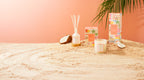 Palm Beach Collection Standard Candle 420g Bronzed Coconut