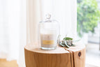 420g Standard Candle- Coconut & Lime