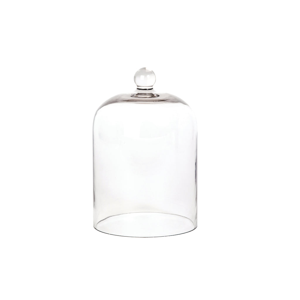 Palm Beach Collection Glass Cloche