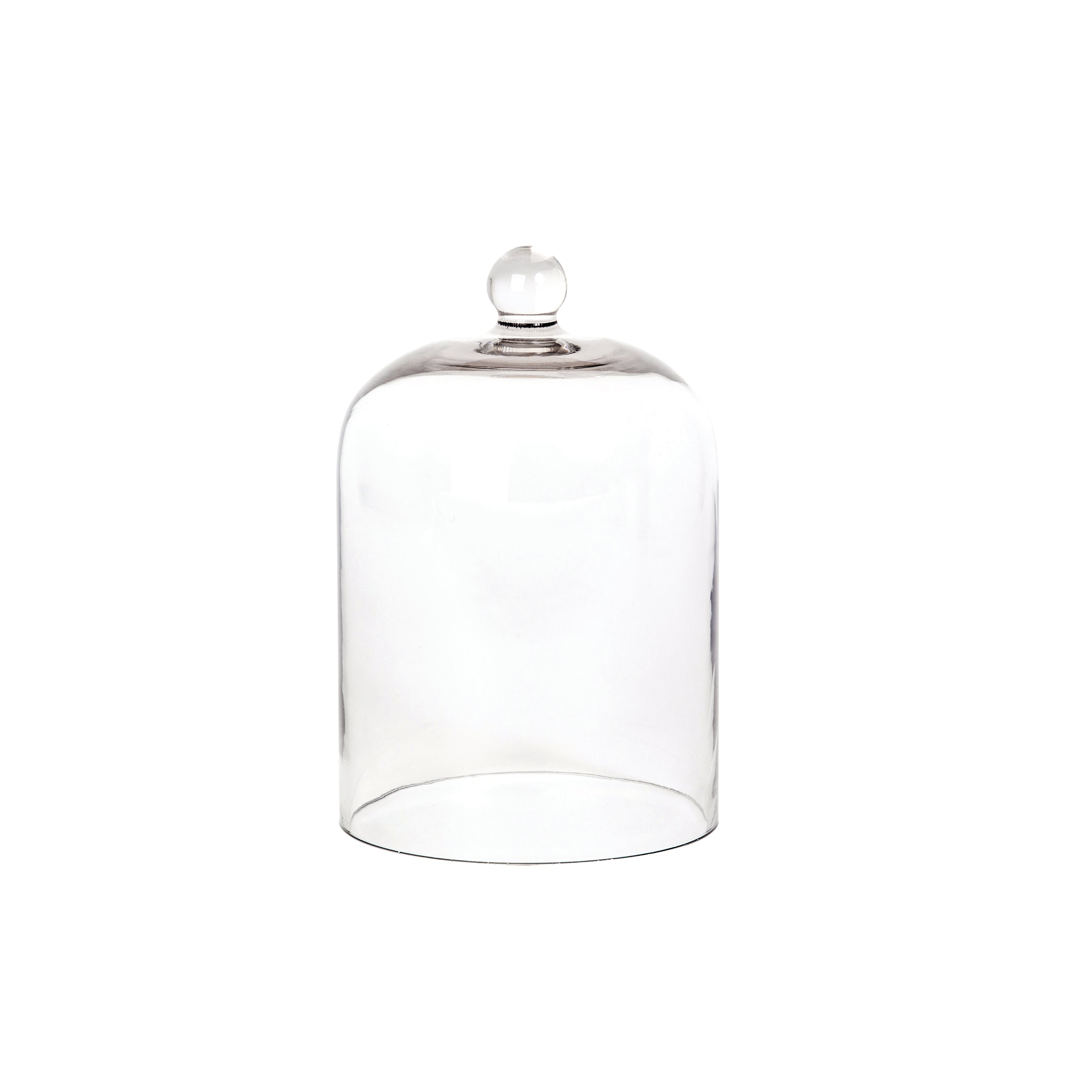 Palm Beach Collection Glass Cloche