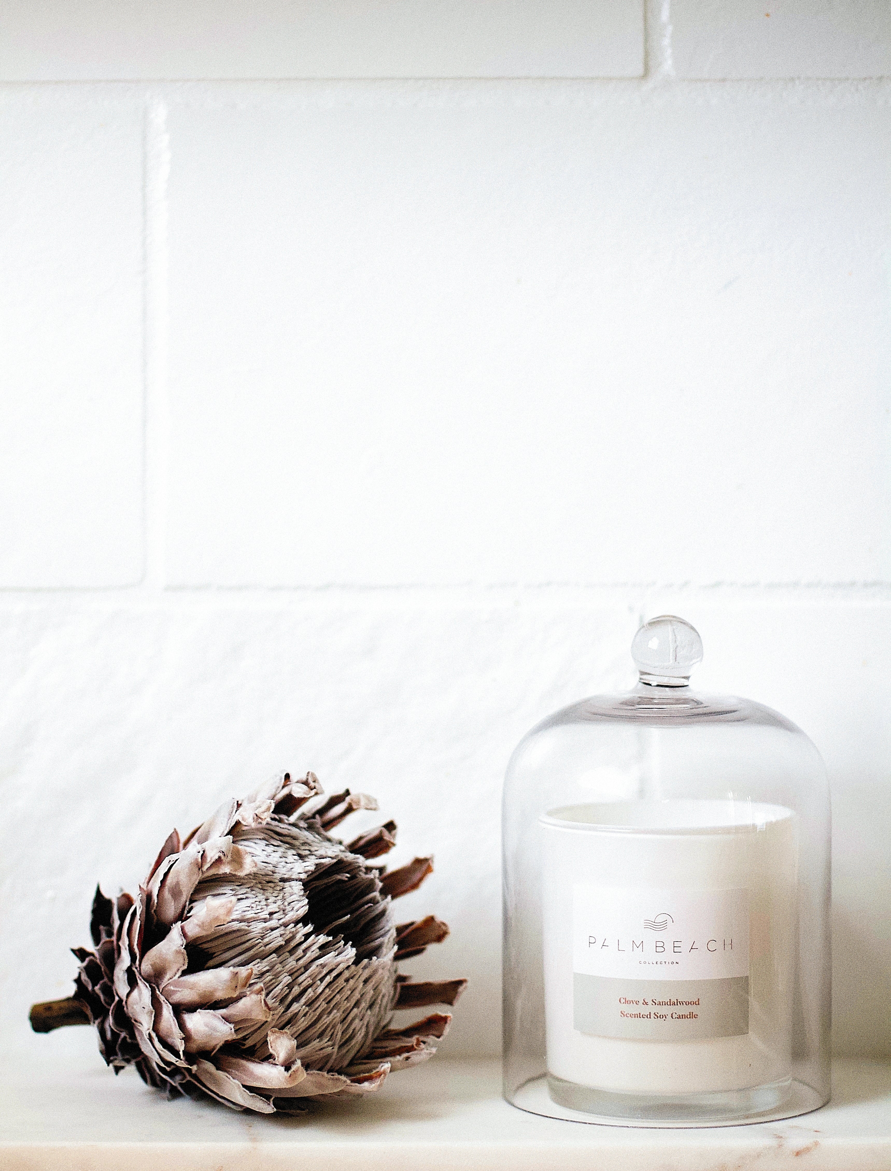 420g Standard Candle- Clove & Sandalwood