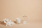 Palm Beach Collection Glass Cloche