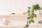Palm Beach Collection Candle Trio Collection 50g