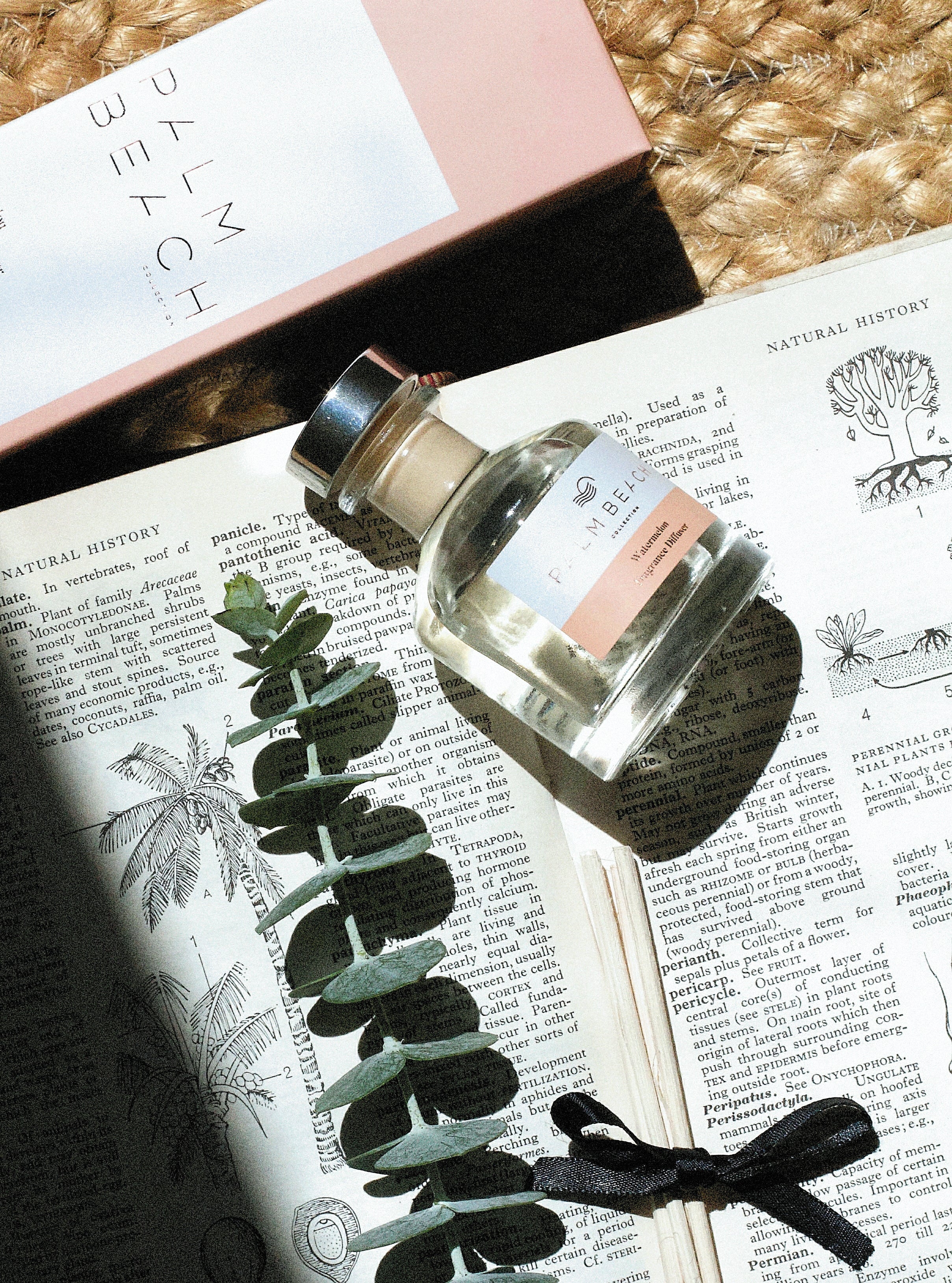 Palm Beach Collection Diffuser Trio Collection 50ml
