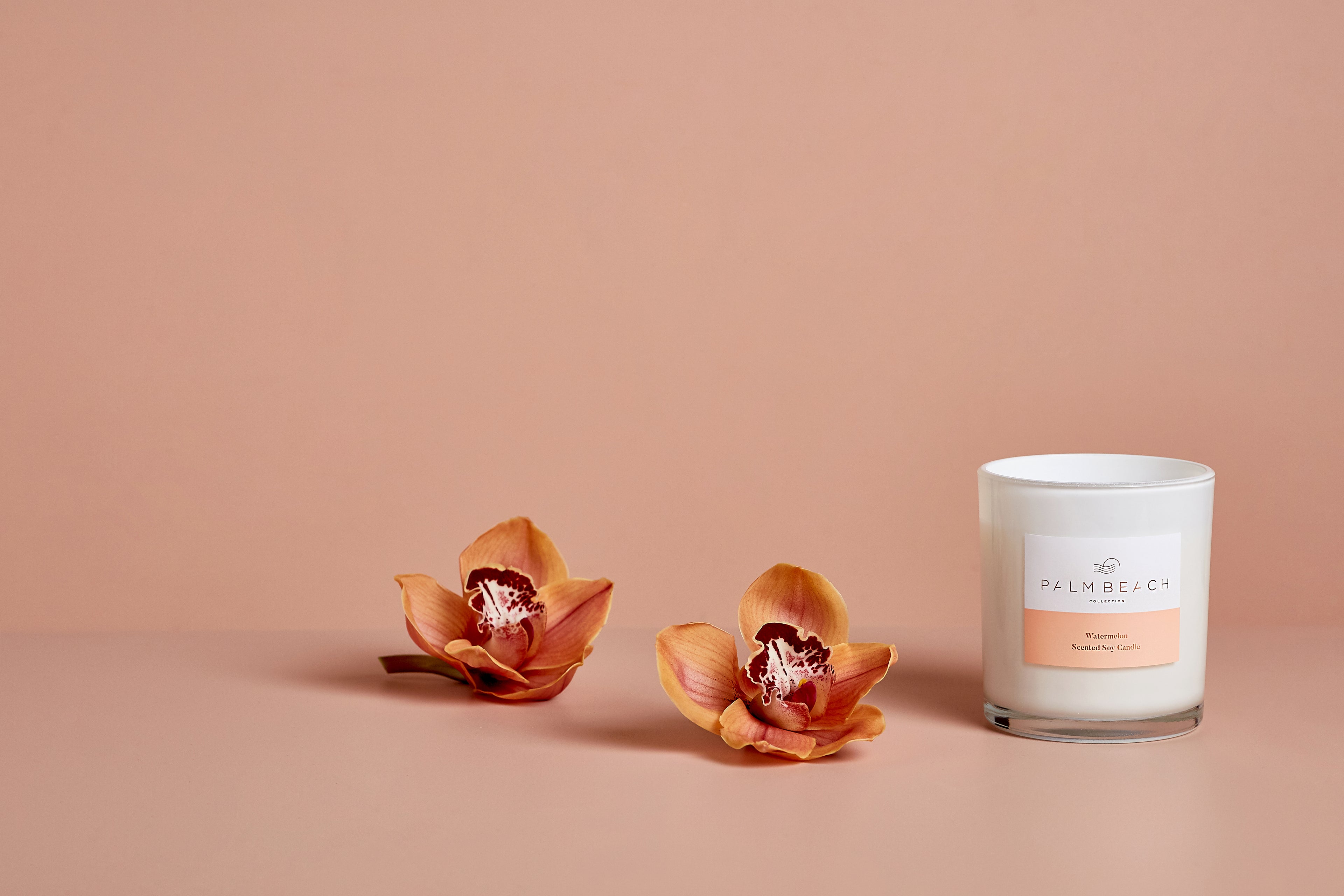 420g Standard Candle- Watermelon