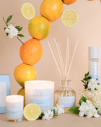 Palm Beach Collection Fragrance Diffuser 250ml Yuzu & Sea Moss