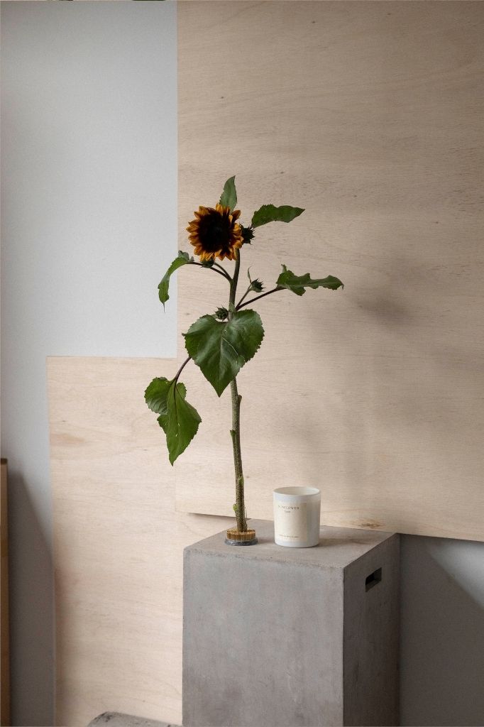 Sunflower Candle | Australian Myrtle + Amber