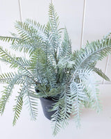 Artificial plant - Silver Fern - 30x32.5cm