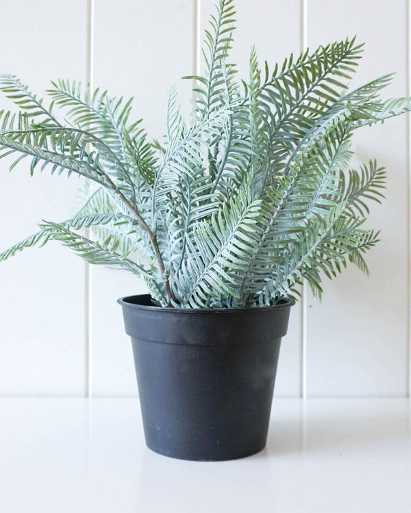 Artificial plant - Silver Fern - 30x32.5cm