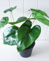 Artificial plant : Anthurium - 47x47cm